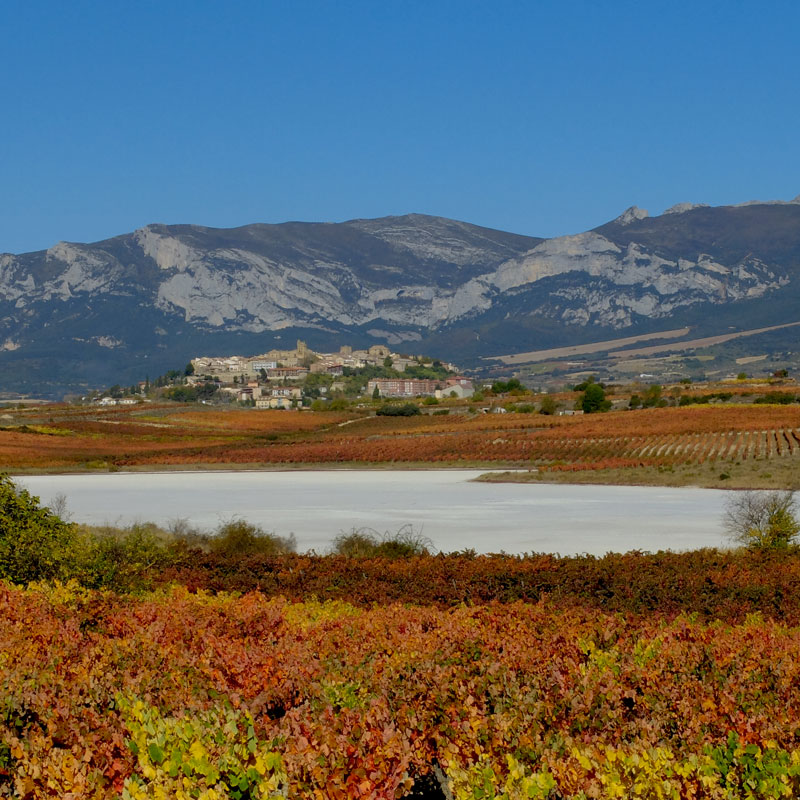 Laguna seca en Laguardia
