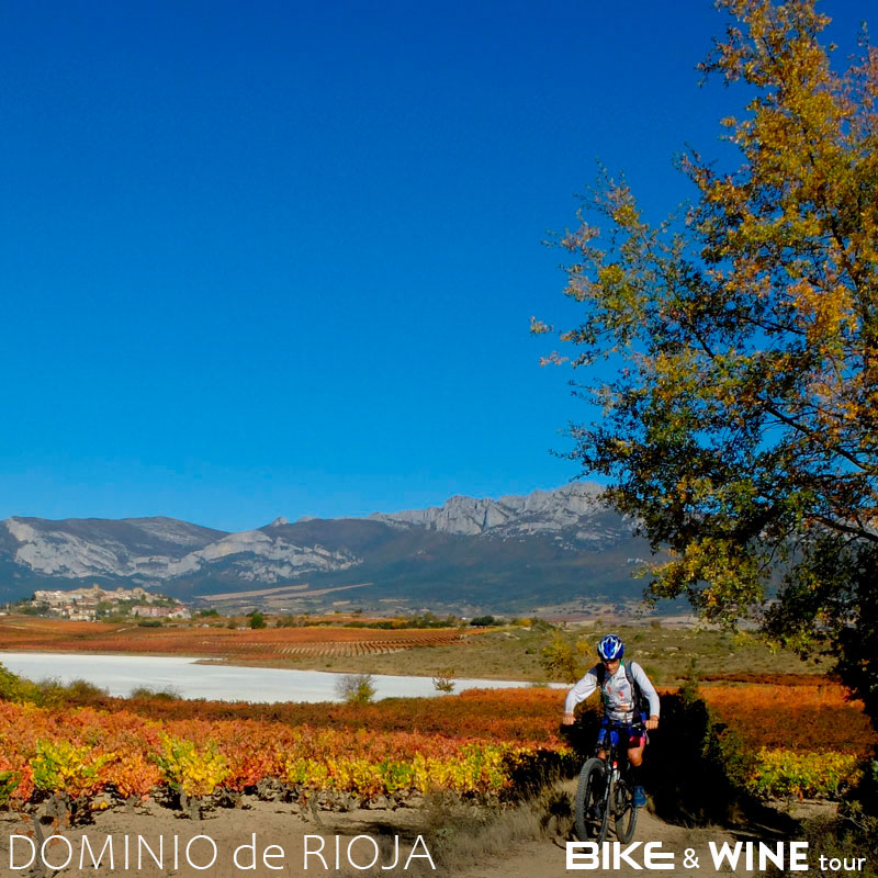 La Rioja at fall