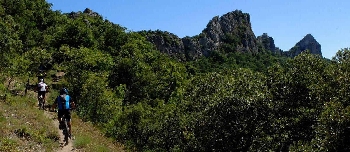 Ciclistas entre arboles
