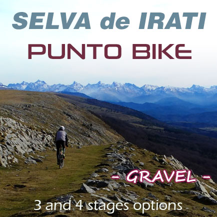 Selva de Irati GRAVEL