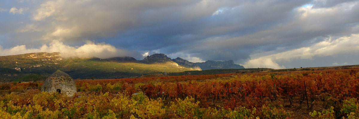 Chozo-El-Bombon-Contador