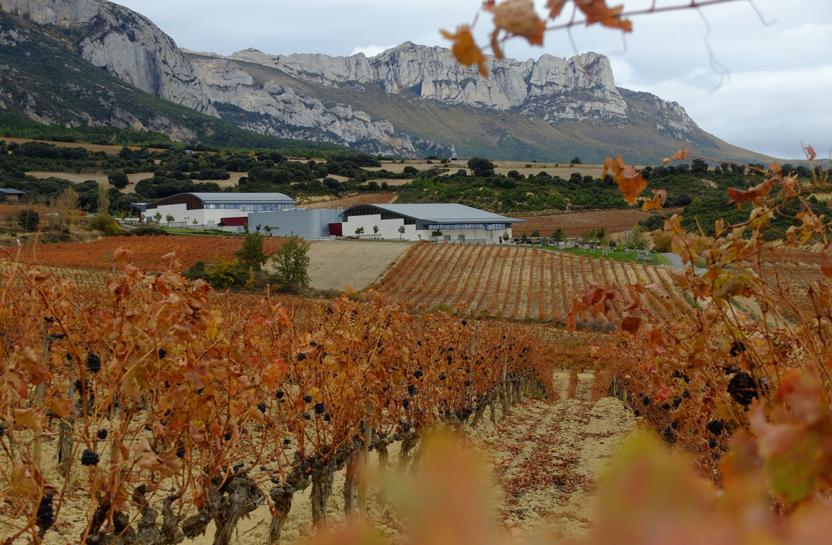 Macan winerie in Autumn-1