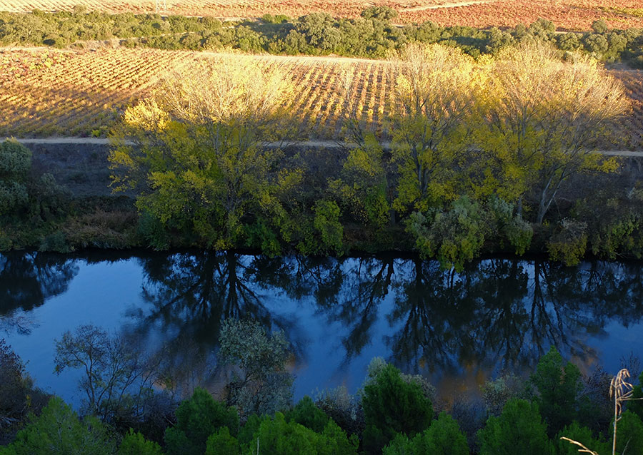 reflections in the Ebro river