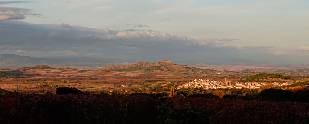 Panoramic view over Entrena