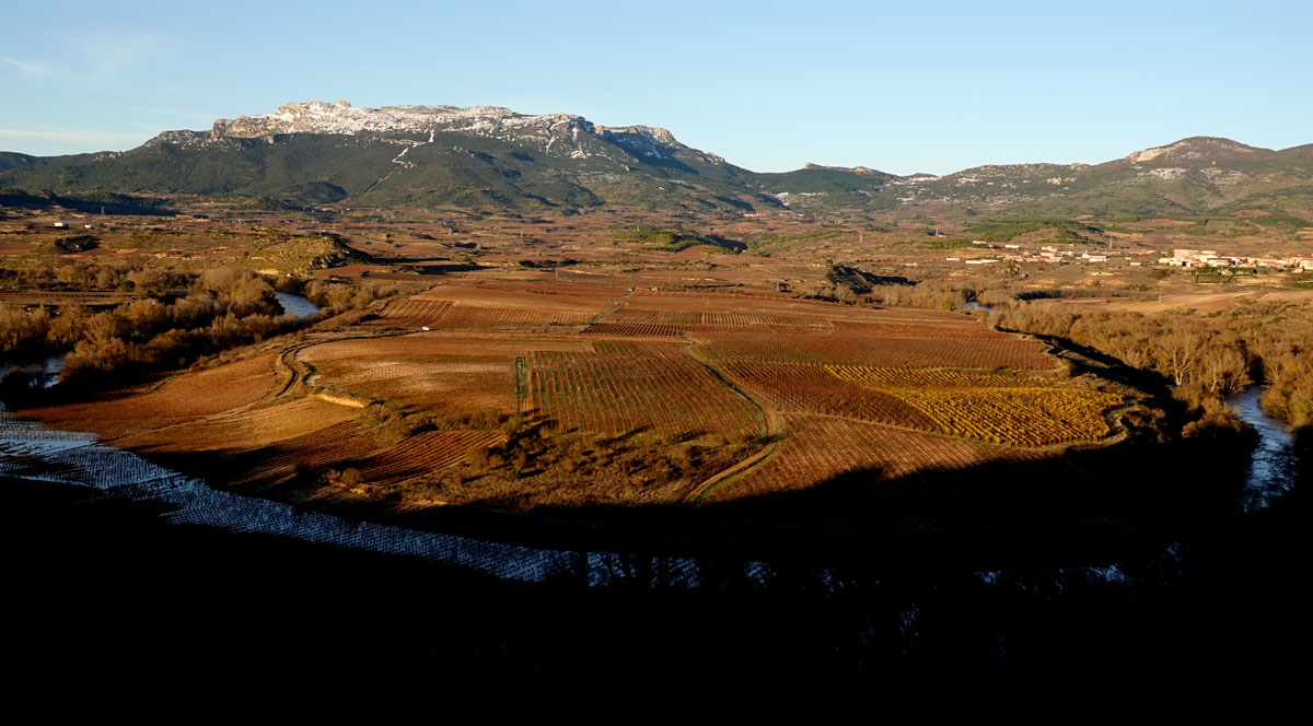 Vineyards in Briones Meander