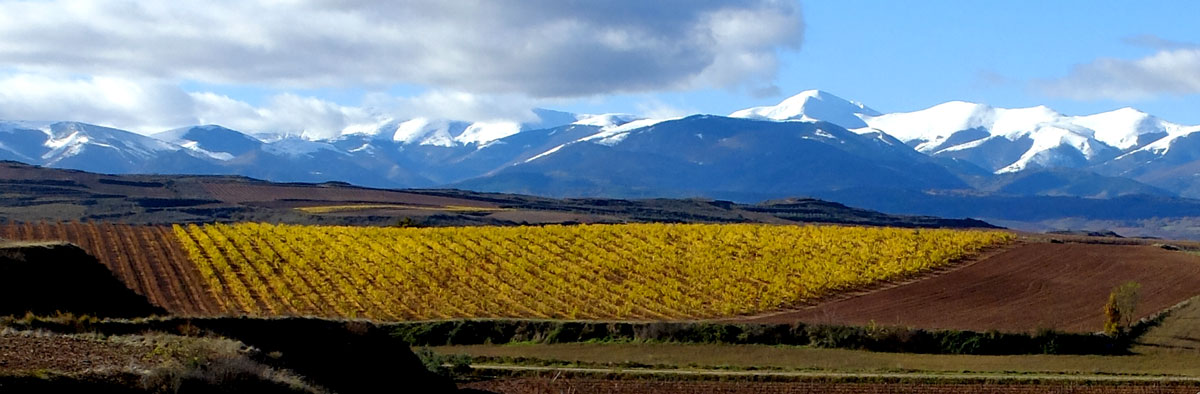 La Demanda Range with snow