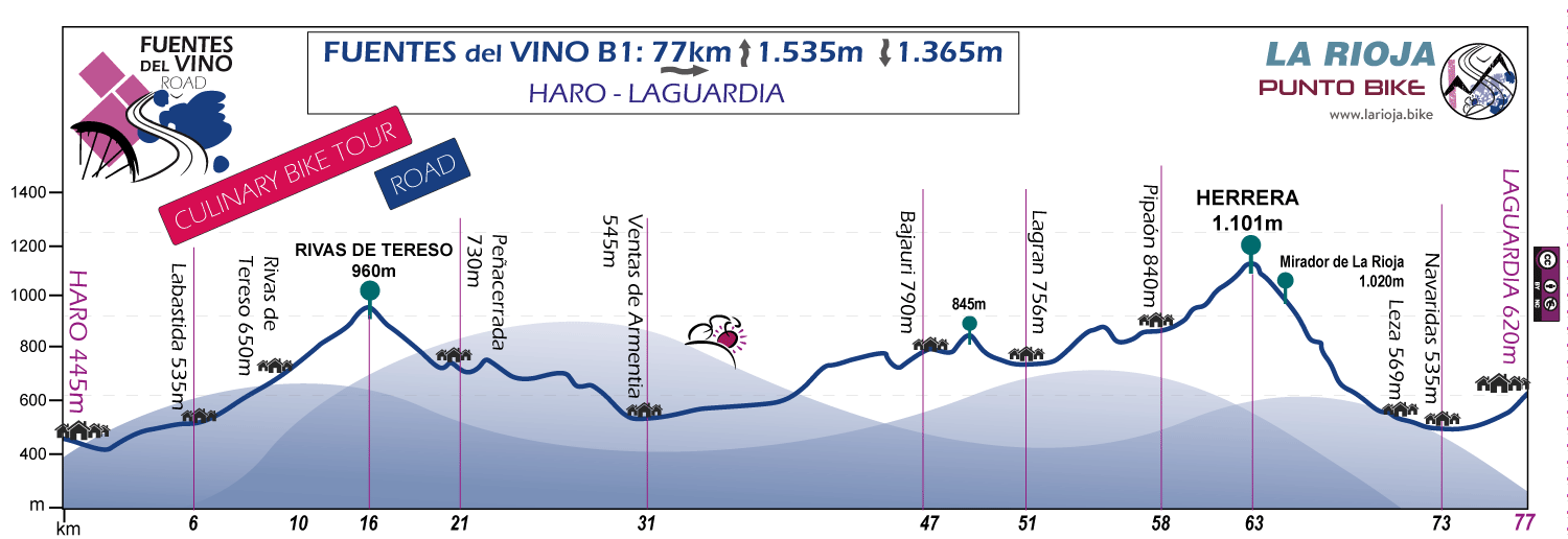 Profile-Fuentes-del-Vino-Culinary-Bike-Tour-Road-B1
