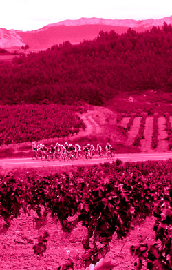 cicloturista-Vitoria