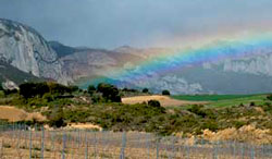 arco-iris en bodega Macan