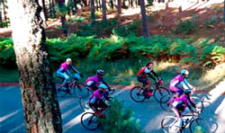 Ciclistas por el pinar